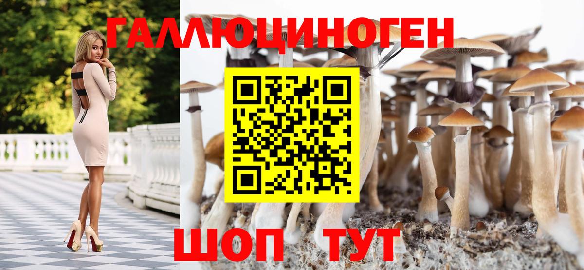 Гулькевичи  Галлюциногенные грибы Psilocybe  Вход с VPN 